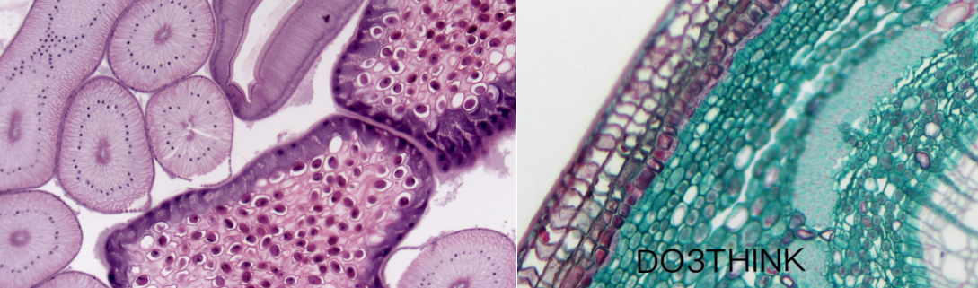 1657111854601599.png 圖片11.png