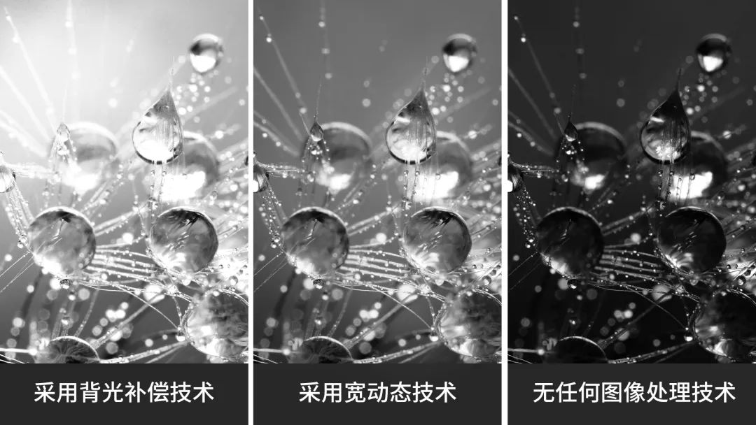 XGS6500M-H圖像質(zhì)量更高